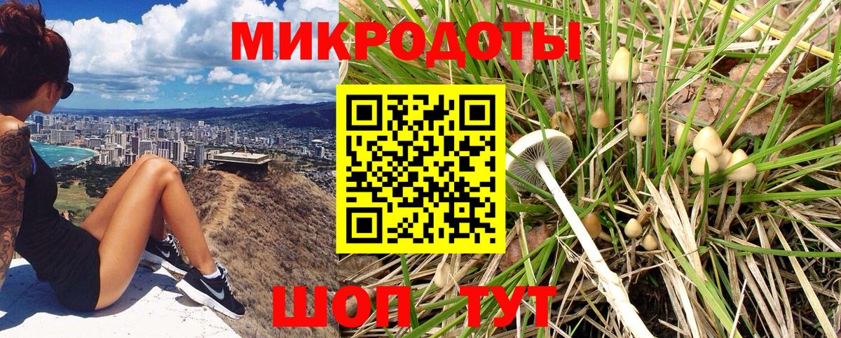 Галлюциногенные грибы Psilocybine cubensis  Псилоцибиновые грибы Psilocybine cubensis  Минусинск  Вход с VPN 